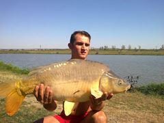 Sustra 2012 jud Timis